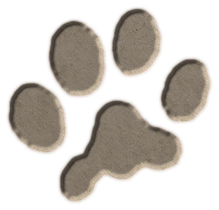 Domestic cat hind footprint, adapted from the USGS published outline; clay-style illustration.