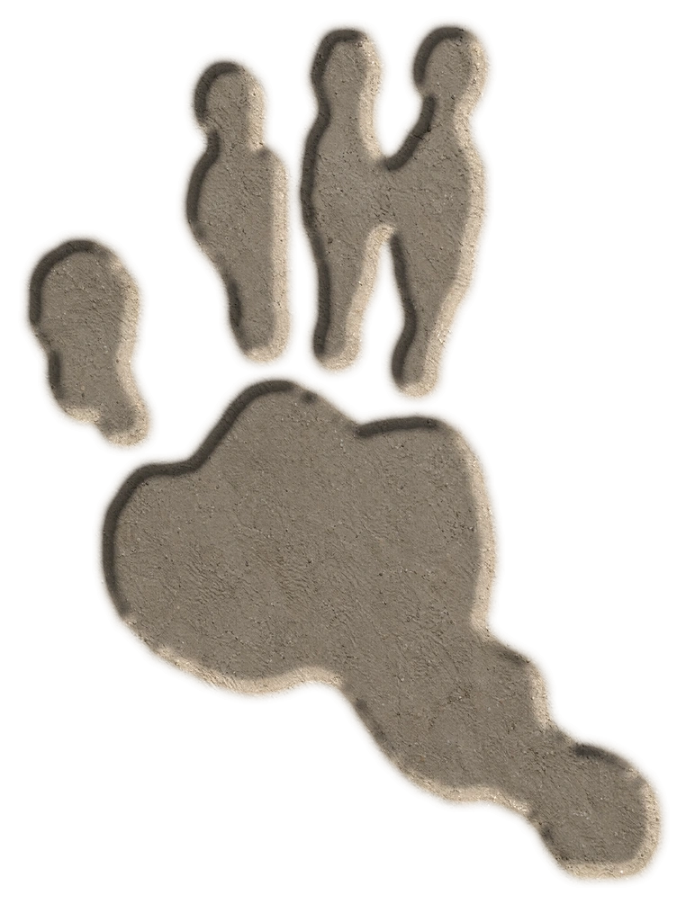 Opossum hind footprint, adapted from the USGS published outline; clay-style illustration.