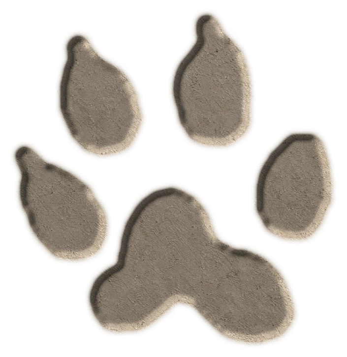 Weasel-family example hind footprint, adapted from the USGS published outline; clay-style illustration.