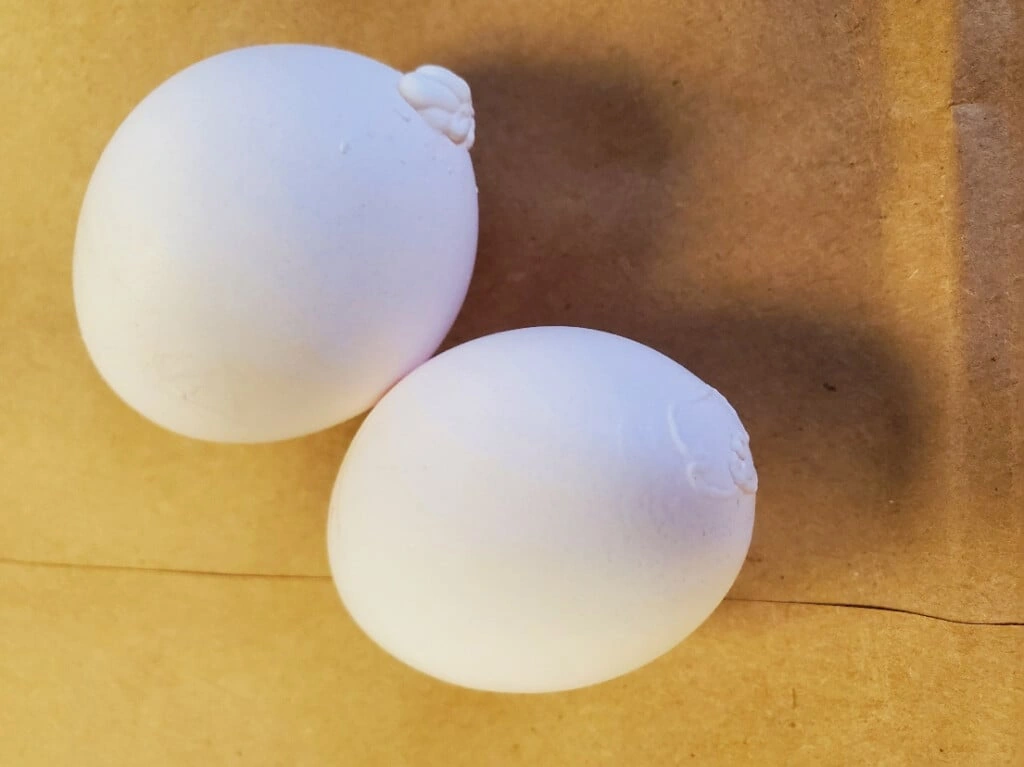 Two white eggs with clearly raised white deposits on their shells.