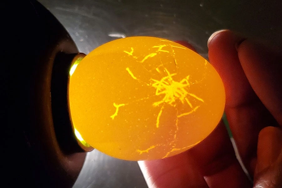 The same egg backlit orange so branching shell cracks stand out clearly.