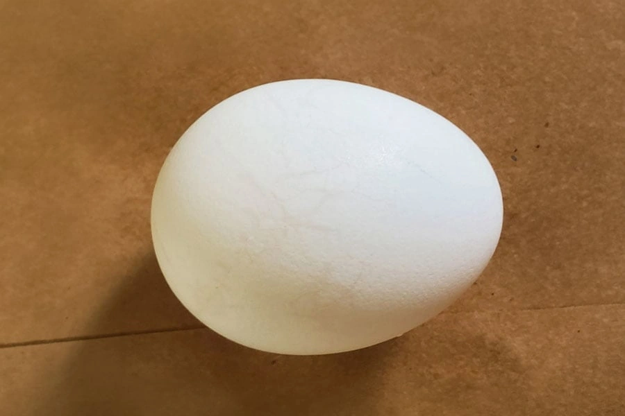 A white egg in ordinary room light with faint cracks that are difficult to see.
