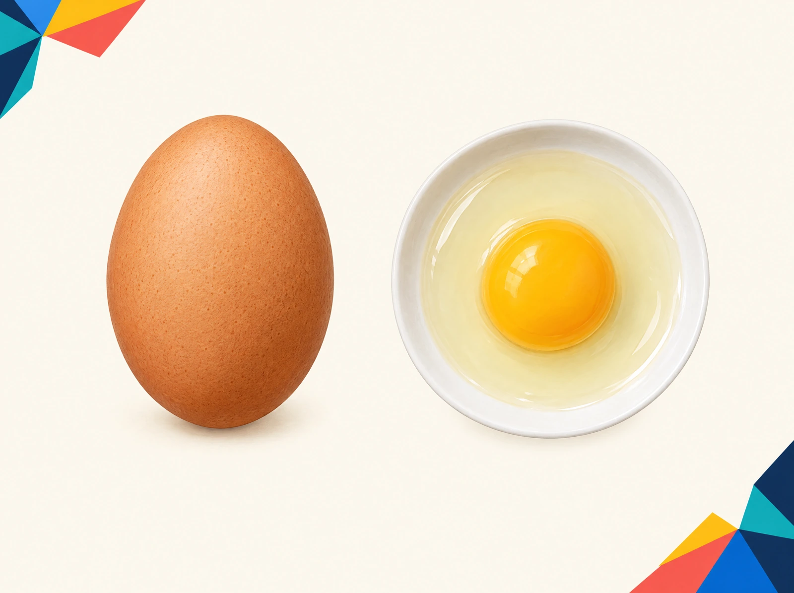 Teaching illustration of one intact brown egg beside an opened egg with a golden yolk and translucent white.