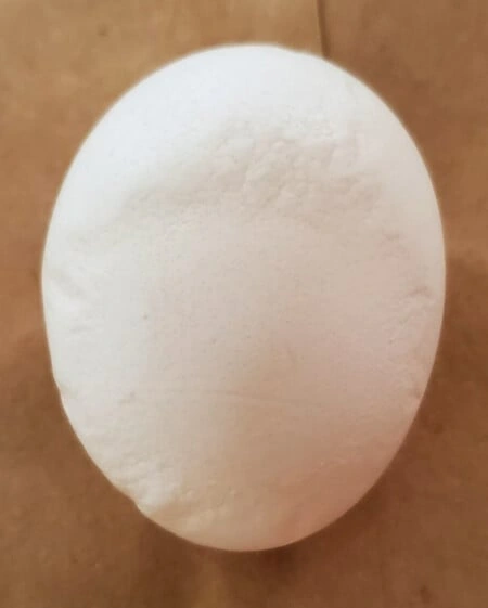 A white slab-sided egg with a flattened area along one side.