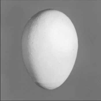 USDA photograph · slight ridges and rough areas · Figure 34